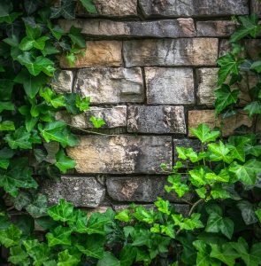 Retaining Wall